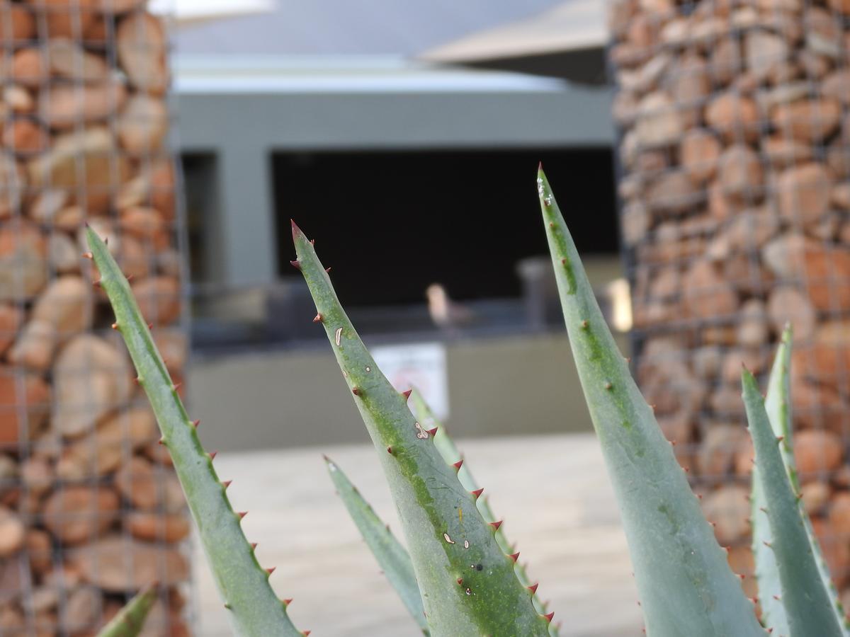 The Featherbed - Oudtshoorn Luaran gambar
